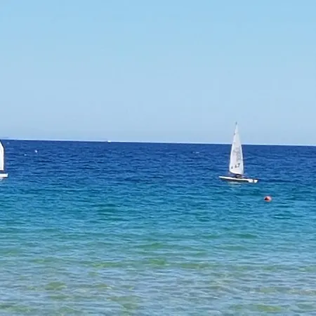 Iliaxtida *